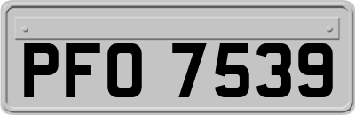 PFO7539