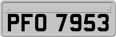 PFO7953