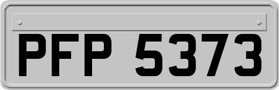 PFP5373