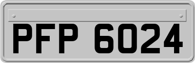 PFP6024