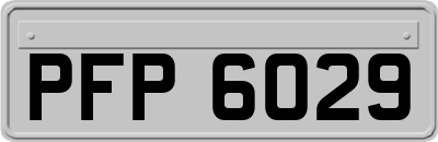 PFP6029