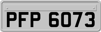 PFP6073