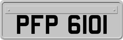 PFP6101