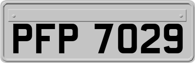 PFP7029