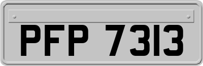 PFP7313