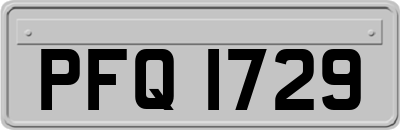 PFQ1729