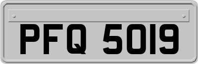 PFQ5019