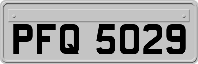 PFQ5029