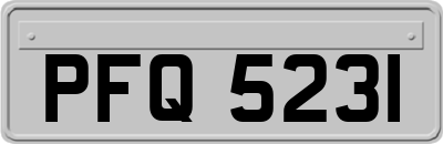 PFQ5231