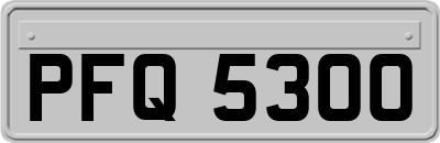 PFQ5300