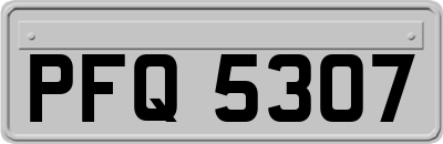 PFQ5307