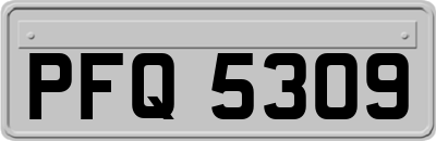 PFQ5309