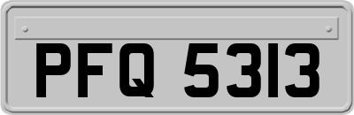 PFQ5313