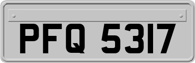 PFQ5317