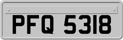 PFQ5318