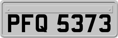 PFQ5373