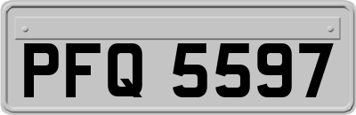 PFQ5597