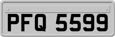 PFQ5599
