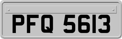 PFQ5613