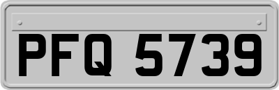 PFQ5739