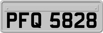 PFQ5828
