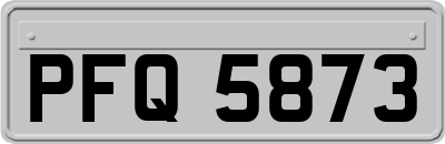 PFQ5873