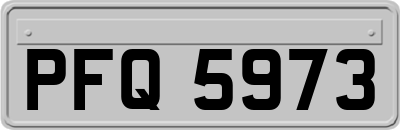 PFQ5973