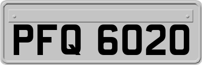 PFQ6020