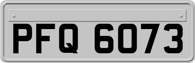 PFQ6073