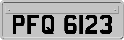 PFQ6123