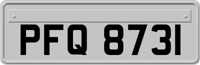 PFQ8731
