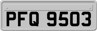 PFQ9503