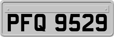 PFQ9529