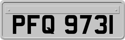PFQ9731