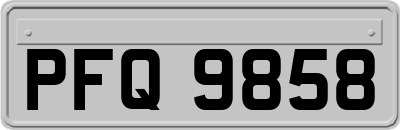 PFQ9858