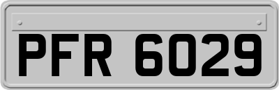PFR6029