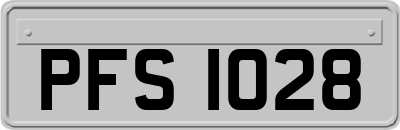 PFS1028