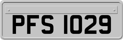 PFS1029