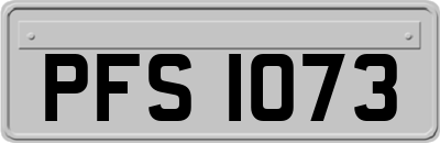 PFS1073
