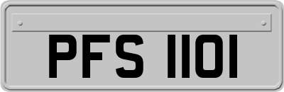 PFS1101