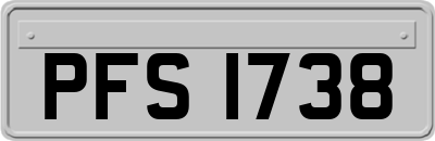 PFS1738