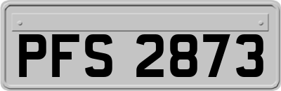 PFS2873