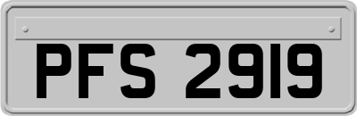 PFS2919