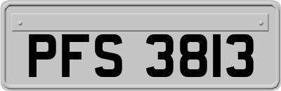 PFS3813
