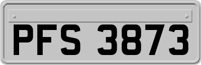 PFS3873