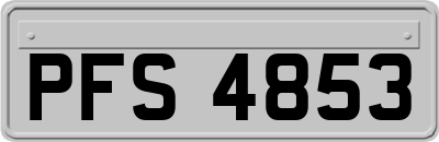 PFS4853