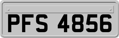 PFS4856
