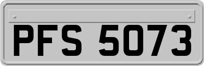 PFS5073