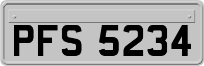 PFS5234