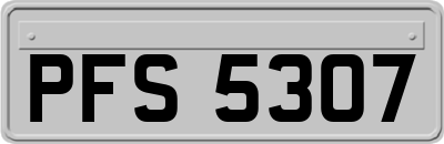PFS5307